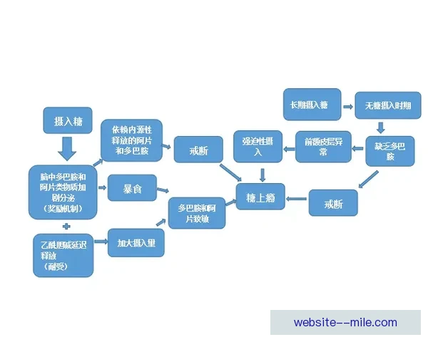 如何观看欧联杯直播全攻略合法平台时间渠道一站式指南详尽解析 如何观看欧联杯直播全攻略合法平台时间渠道一站式指南详尽解析